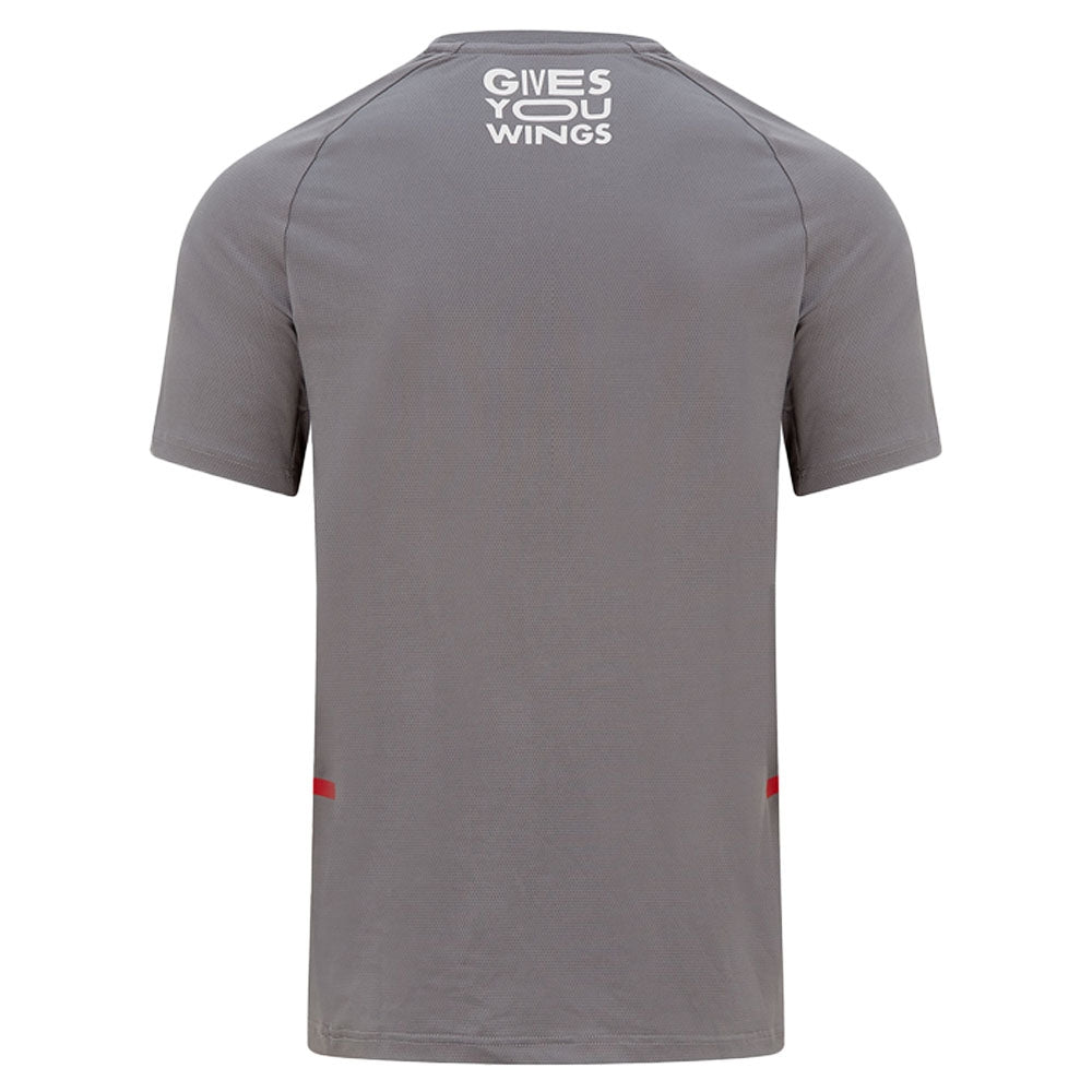 2022 Red Bull Racing Tech Tee (Grey)_1